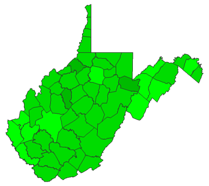2016 Presidential Democratic Primary - West Virginia Election County Map