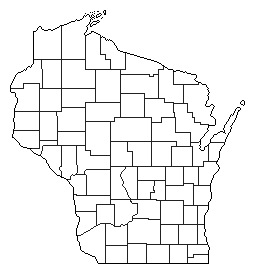 1859 Wisconsin County Map of General Election Results for Governor