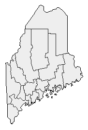 2004 Maine County Map of Democratic Primary Election Results for President