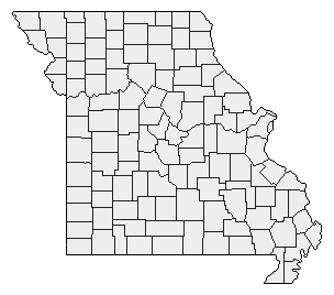 1992 Missouri County Map of Democratic Primary Election Results for President