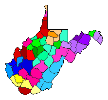 1956 West Virginia County Map of Democratic Primary Election Results for State Treasurer